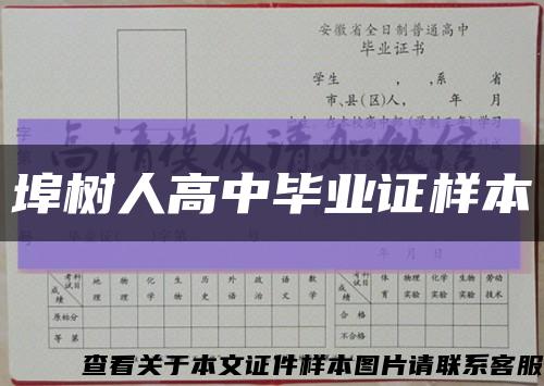 埠樹人高中畢業證樣本縮略圖