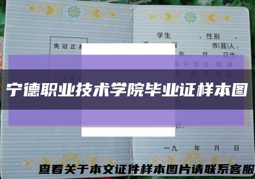 寧德職業技術學院畢業證樣本圖縮略圖
