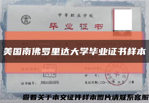 美國南佛羅里達大學畢業證書樣本縮略圖