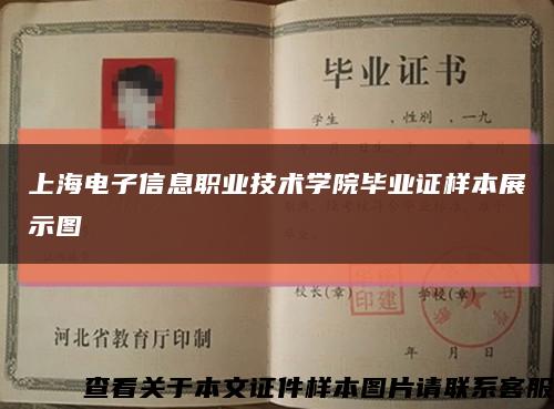 上海電子信息職業技術學院畢業證樣本展示圖縮略圖
