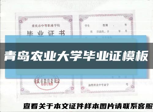 青島農業大學畢業證模板{樣板}縮略圖