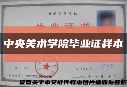 中央美術學院畢業證樣本縮略圖