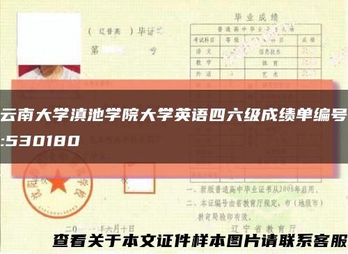云南大學滇池學院大學英語四六級成績單編號:530180縮略圖