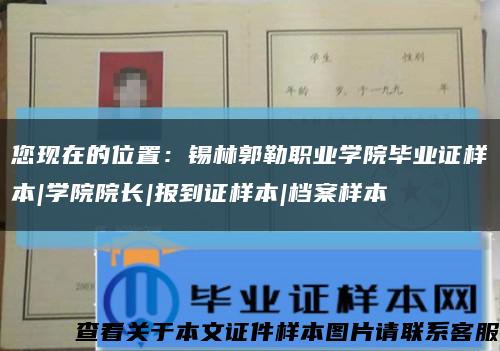 您現在的位置：錫林郭勒職業學院畢業證樣本|學院院長|報到證樣本|檔案樣本縮略圖