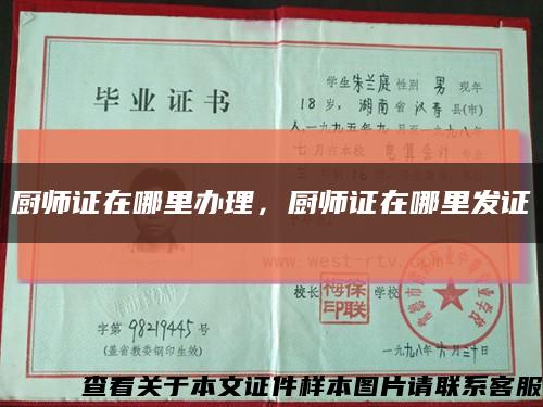 廚師證在哪里辦理，廚師證在哪里發證縮略圖