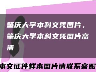 肇慶大學本科文憑圖片，肇慶大學本科文憑圖片高清縮略圖