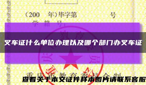 叉車證什么單位辦理以及哪個部門辦叉車證縮略圖