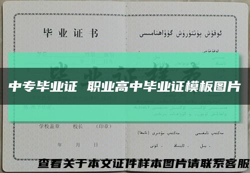 中專畢業證 職業高中畢業證模板圖片縮略圖
