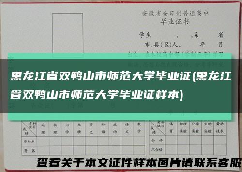 黑龍江省雙鴨山市師范大學畢業證(黑龍江省雙鴨山市師范大學畢業證樣本)縮略圖