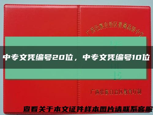 中專文憑編號20位，中專文憑編號10位縮略圖