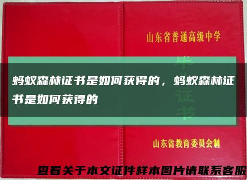 螞蟻森林證書是如何獲得的，螞蟻森林證書是如何獲得的縮略圖
