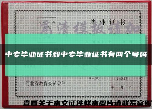 中專畢業證書和中專畢業證書有兩個號碼縮略圖