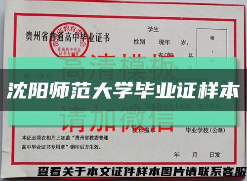 沈陽師范大學畢業證樣本縮略圖