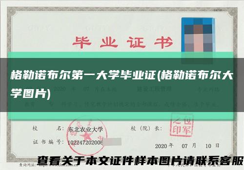 格勒諾布爾第一大學畢業證(格勒諾布爾大學圖片)縮略圖