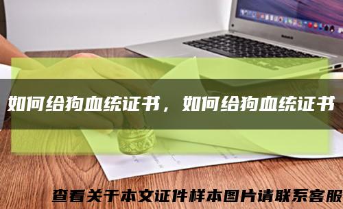 如何給狗血統證書，如何給狗血統證書縮略圖