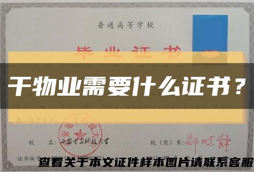 干物業需要什么證書？縮略圖
