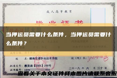 當押運員需要什么條件，當押運員需要什么條件？縮略圖