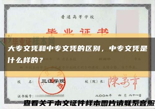 大專文憑和中專文憑的區別，中專文憑是什么樣的？縮略圖