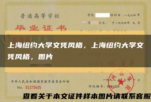 上海紐約大學文憑風格，上海紐約大學文憑風格，圖片縮略圖