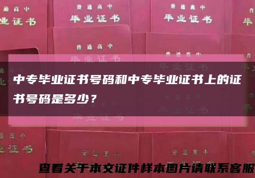 中專畢業證書號碼和中專畢業證書上的證書號碼是多少？縮略圖
