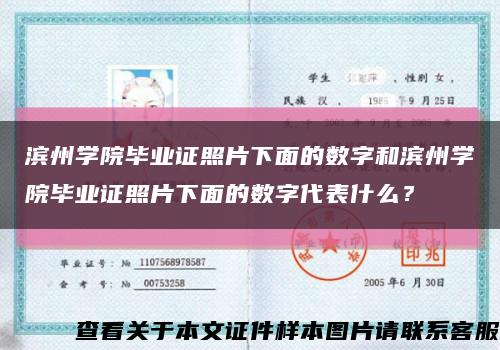 濱州學院畢業證照片下面的數字和濱州學院畢業證照片下面的數字代表什么？縮略圖