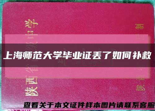 上海師范大學畢業證丟了如何補救縮略圖