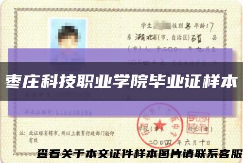 棗莊科技職業學院畢業證樣本縮略圖