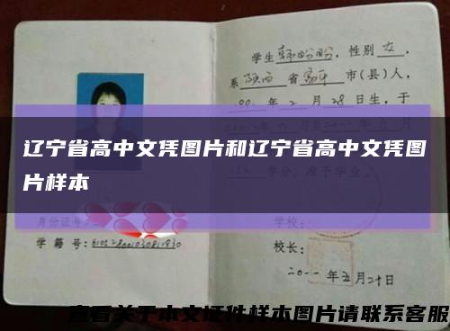 遼寧省高中文憑圖片和遼寧省高中文憑圖片樣本縮略圖