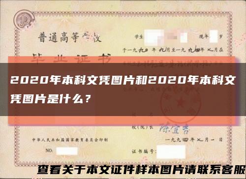 2020年本科文憑圖片和2020年本科文憑圖片是什么？縮略圖