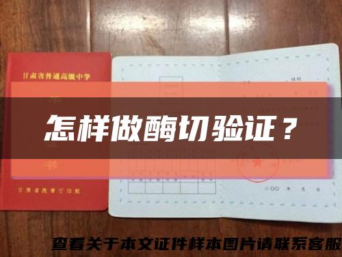 怎樣做酶切驗證？縮略圖