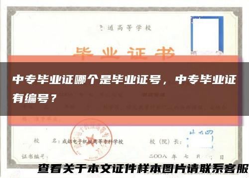 中專畢業證哪個是畢業證號，中專畢業證有編號？縮略圖