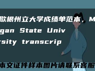 密歇根州立大學成績單范本，Michigan State University transcript縮略圖