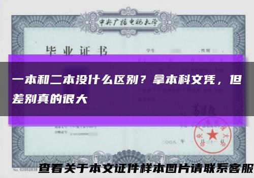 一本和二本沒什么區別？拿本科文憑，但差別真的很大縮略圖