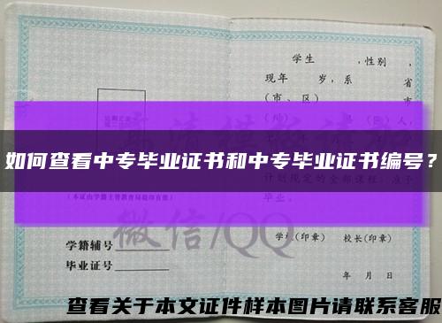 如何查看中專畢業證書和中專畢業證書編號？縮略圖