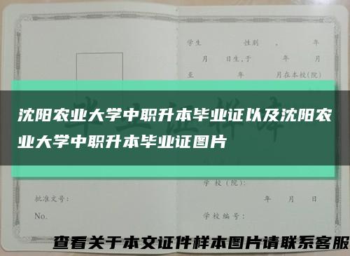 沈陽農業大學中職升本畢業證以及沈陽農業大學中職升本畢業證圖片縮略圖