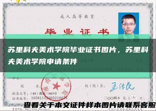 蘇里科夫美術學院畢業證書圖片，蘇里科夫美術學院申請條件縮略圖