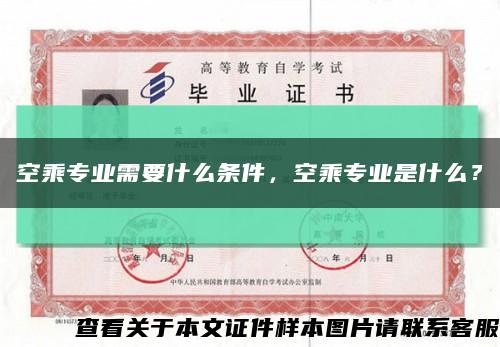 空乘專業需要什么條件，空乘專業是什么？縮略圖