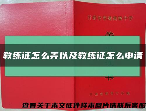 教練證怎么弄以及教練證怎么申請縮略圖