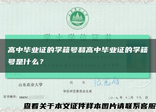 高中畢業證的學籍號和高中畢業證的學籍號是什么？縮略圖