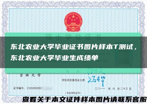 東北農業大學畢業證書圖片樣本T測試，東北農業大學畢業生成績單縮略圖