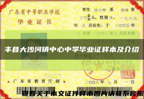 豐縣大沙河鎮中心中學畢業證樣本及介紹縮略圖