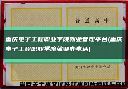 重慶電子工程職業學院就業管理平臺(重慶電子工程職業學院就業辦電話)縮略圖