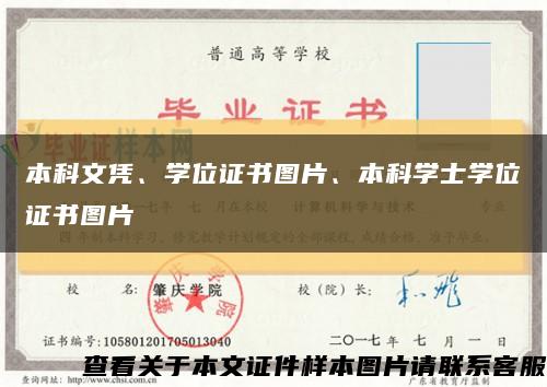 本科文憑、學位證書圖片、本科學士學位證書圖片縮略圖