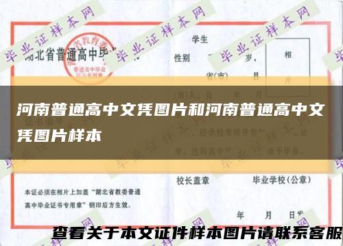 河南普通高中文憑圖片和河南普通高中文憑圖片樣本縮略圖