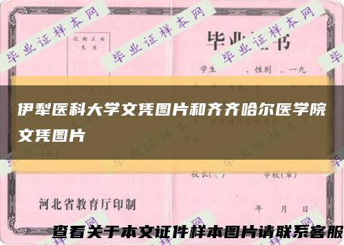 伊犁醫科大學文憑圖片和齊齊哈爾醫學院文憑圖片縮略圖