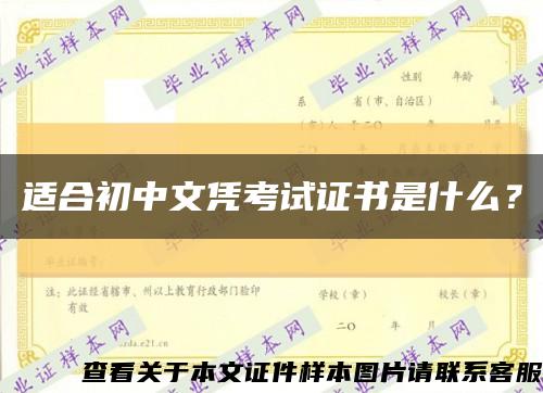適合初中文憑考試證書是什么？縮略圖