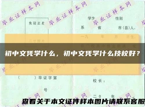 初中文憑學什么，初中文憑學什么技校好？縮略圖