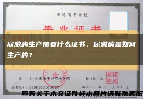 尿激酶生產需要什么證書，尿激酶是如何生產的？縮略圖