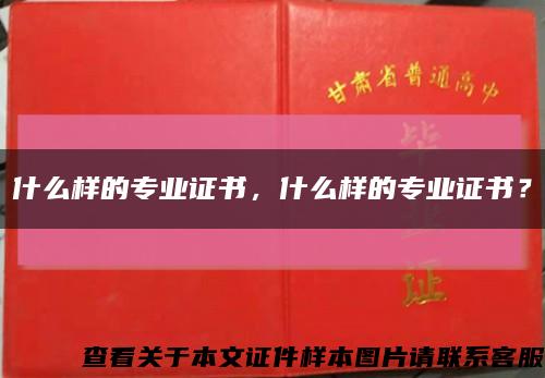 什么樣的專業證書，什么樣的專業證書？縮略圖
