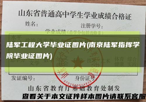 陸軍工程大學畢業證圖片(南京陸軍指揮學院畢業證圖片)縮略圖